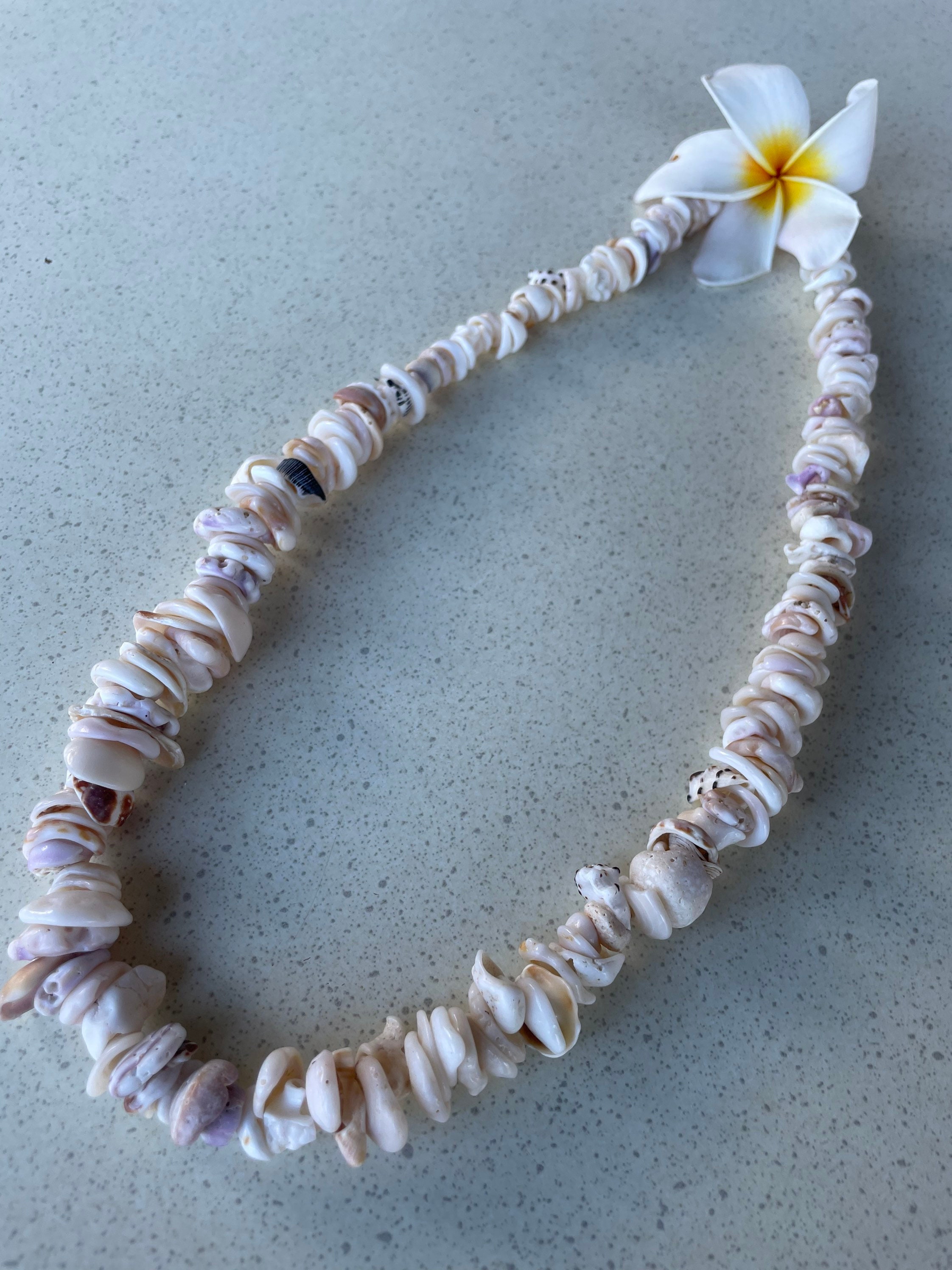 Real Hawaiian Puka Shell Necklace 18 