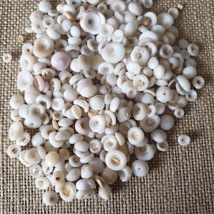 May include: A pile of small, white, round seashells with a hole in the center. The shells are arranged in a random pattern on a brown burlap background.