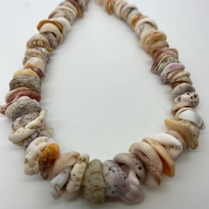 May include: A necklace made of various sized and shaped seashells in shades of white, pink, and brown.