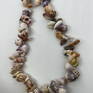 May include: A string of assorted seashells in various shades of white, brown, and purple. The shells are strung together to create a necklace or bracelet.