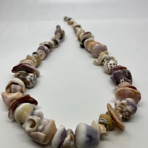 May include: A long necklace made of various seashells in shades of white, pink, brown, and purple. The shells are strung together on a clear thread.