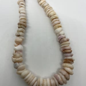 May include: A white and pink shell necklace made of small, flat, round shells.