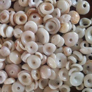 Può includere: Primo piano di un mucchio di conchiglie bianche e crema con fori al centro. Le conchiglie sono lisce e hanno una texture naturale e organica.