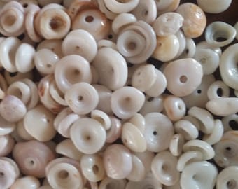 40  Hawaiian puka shells with holes,pukashells,loose shells,craft supply,jewelry supply,seashell lot,seashell jewelry,white seashells,