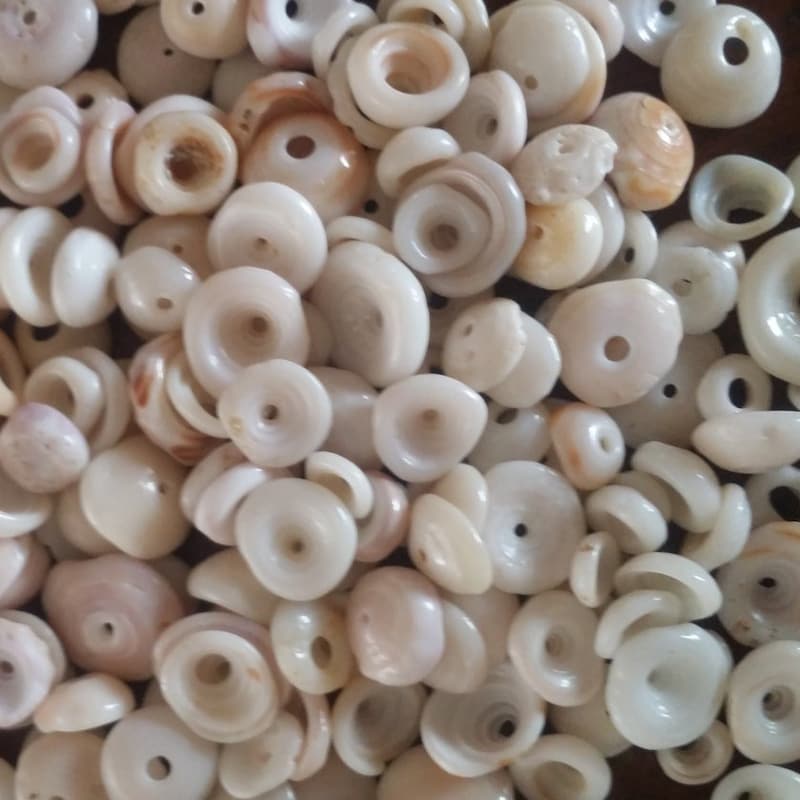 Puka Shells - Etsy