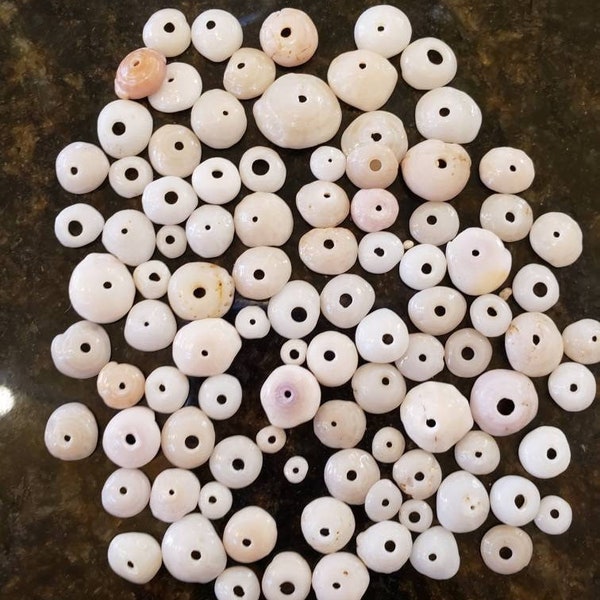 100 Hawaiian pukashells, variety of sizes with holes,bulk pukashell,seashell lot,pukashells,jewelry supply,craft supply,made in hawaii,oahu