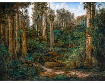 Isaac Whitehead, A Sassafras Gully, Gippsland, 1870 | Art Print | Canvas Print | Fine Art Poster | Art Reproduction | Archival Giclee | Gift