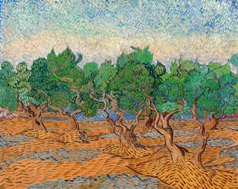 Van Gogh, Olive Grove, 1889 | Art Print | Canvas Print | Fine Art Poster | Art Reproduction | Archival Giclee | Gift Wrapped