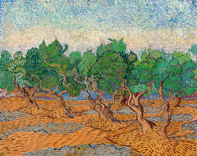 Van Gogh, Olive Grove, 1889 | Art Print | Canvas Print | Fine Art Poster | Art Reproduction | Archival Giclee | Gift Wrapped