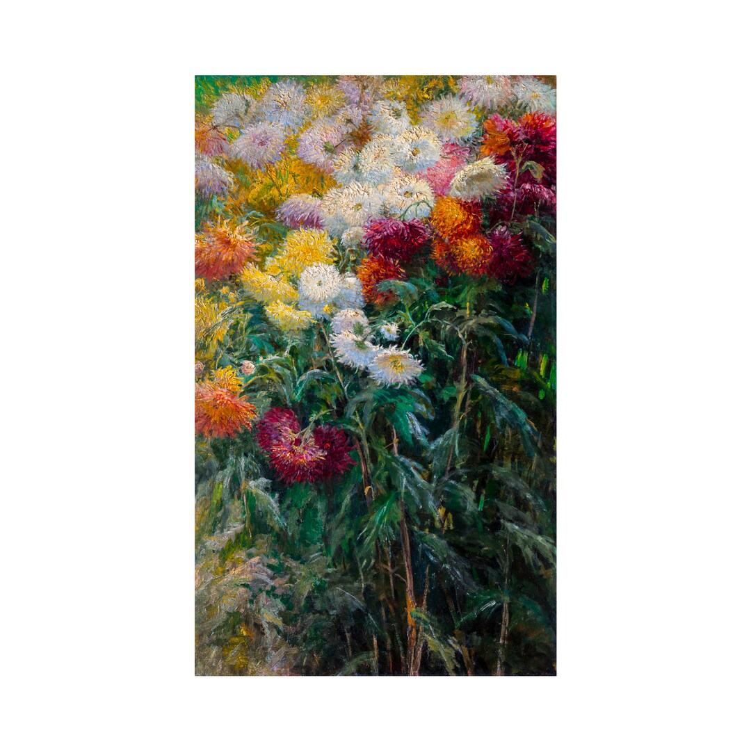 Gustave Caillebotte, Chrysanthemums in the Garden at Petit