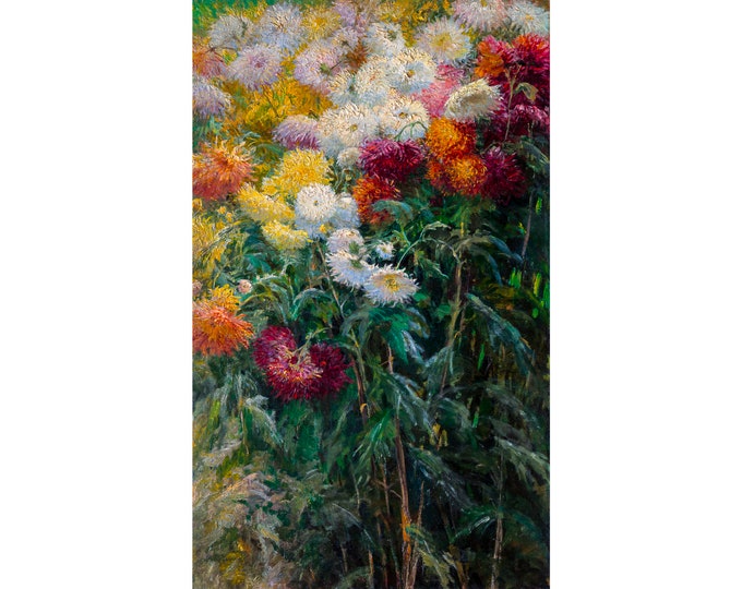 Gustave Caillebotte, Chrysanthemums in the Garden at Petit-Gennevilliers, 1893 | Art Print | Canvas Print | Fine Art Poster | Art