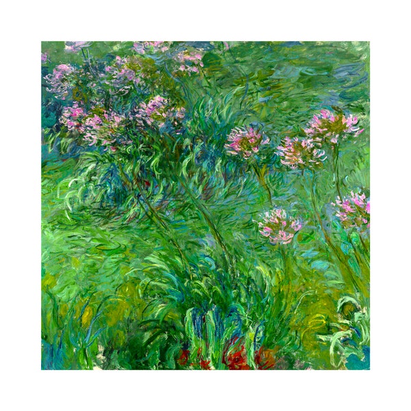Claude Monet, Agapanthus, 1914 | Art Print | Canvas Print | Fine Art Poster | Art Reproduction | Archival Giclee | Gift Wrapped