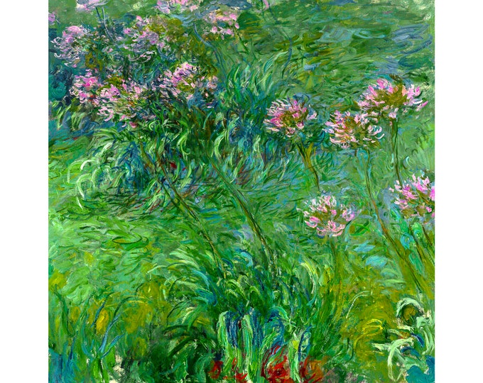 Claude Monet, Agapanthus, 1914 | Art Print | Canvas Print | Fine Art Poster | Art Reproduction | Archival Giclee | Gift Wrapped