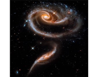 Rose of Galaxies, ARP 273 | Art Print | Canvas Print | Fine Art Poster | Art Reproduction | Archival Giclee | Gift Wrapped