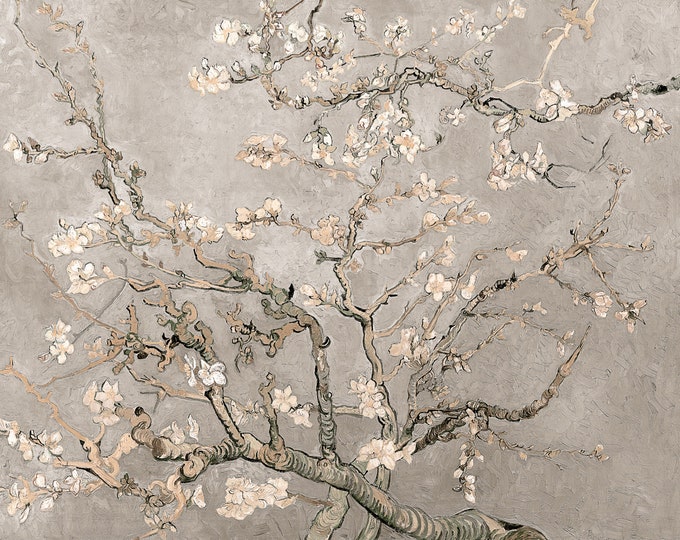 Van Gogh, Almond Blossoms in Beige, 1890 | Art Print | Canvas Print | Fine Art Poster | Art Reproduction | Archival Giclee | Gift Wrapped
