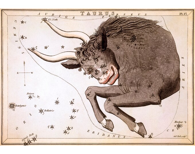 Taurus Astrology Poster, Sidney Hall, Urania's Mirror, Taurus | Art Print | Canvas Print | Fine Art Poster | Art Reproduction | Archival