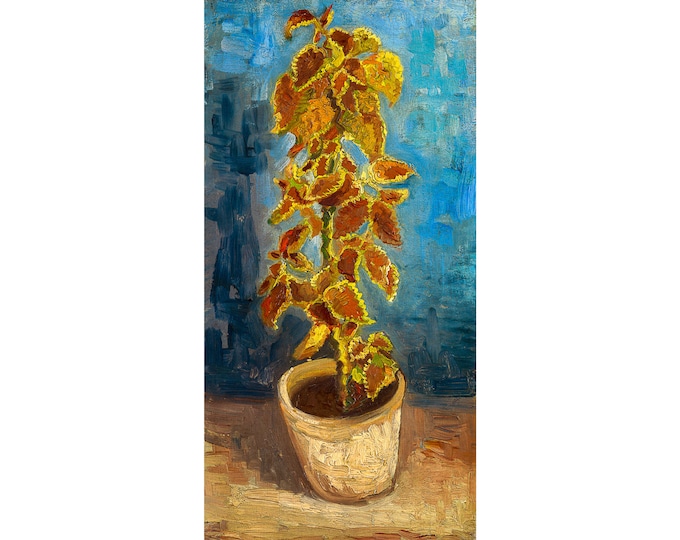 Van Gogh, Flame Nettle in a Flowerpot, 1886 | Art Print | Canvas Print | Fine Art Poster | Art Reproduction | Archival Giclee | Gift Wrapped