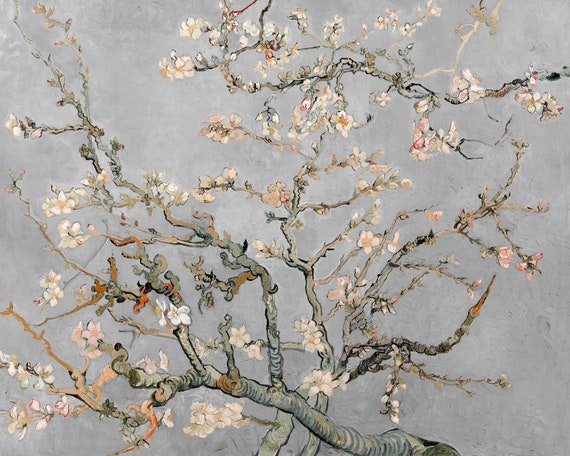 Van Gogh Almond Blossoms in 1890 Art Print Canvas - Etsy