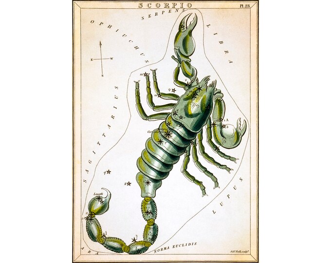 Scorpio Astrology Poster, Sidney Hall, Urania's Mirror, Scorpio | Art Print | Canvas Print | Fine Art Poster | Art Reproduction | Archival