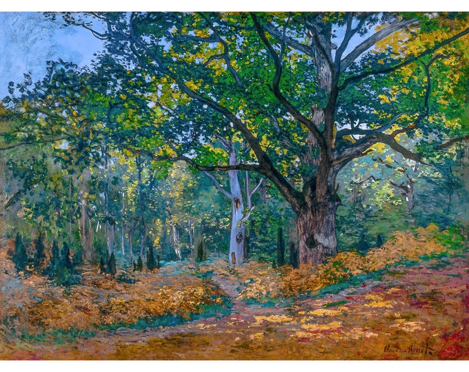 Claude Monet, The Bodmer Oak, Fontainebleau Forest, 1865 | Art Print | Canvas Print | Fine Art Poster | Art Reproduction | Archival Giclee