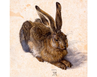 Albrecht Dürer, Young Hare, 1502 | Art Print | Canvas Print | Fine Art Poster | Art Reproduction | Archival Giclee | Gift Wrapped