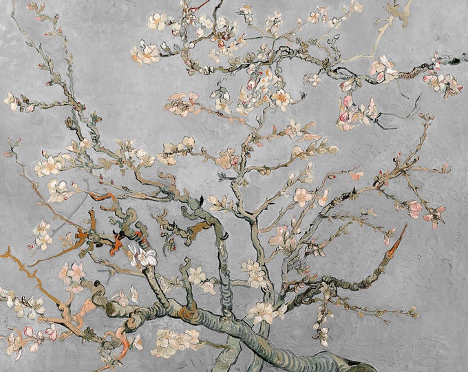 Van Gogh, Almond Blossoms in Gray, 1890 | Art Print | Canvas Print | Fine Art Poster | Art Reproduction | Archival Giclee | Gift Wrapped