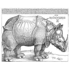 Albrecht Dürer, The Rhinoceros, 1515 | Art Print | Canvas Print | Fine Art Poster | Art Reproduction | Archival Giclee | Gift Wrapped