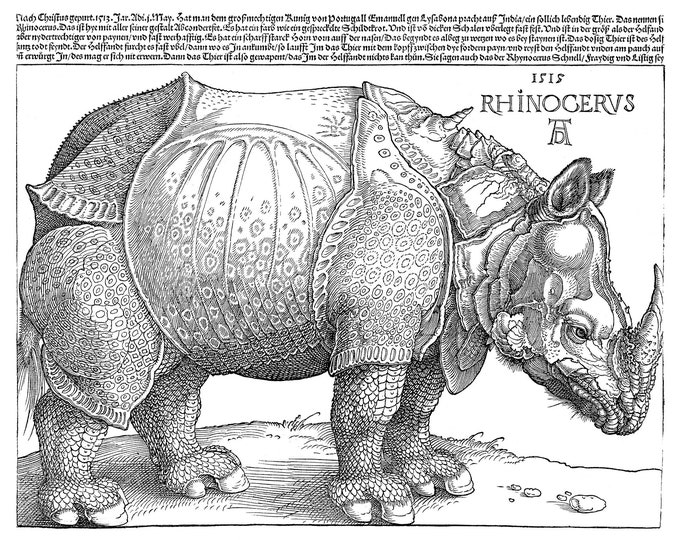 Albrecht Dürer, The Rhinoceros, 1515 | Art Print | Canvas Print | Fine Art Poster | Art Reproduction | Archival Giclee | Gift Wrapped
