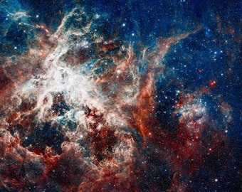 Tarantula Nebula, Star Formation, NASA Space Art | Art Print | Canvas Print | Fine Art Poster | Art Reproduction | Archival Giclee | Gift