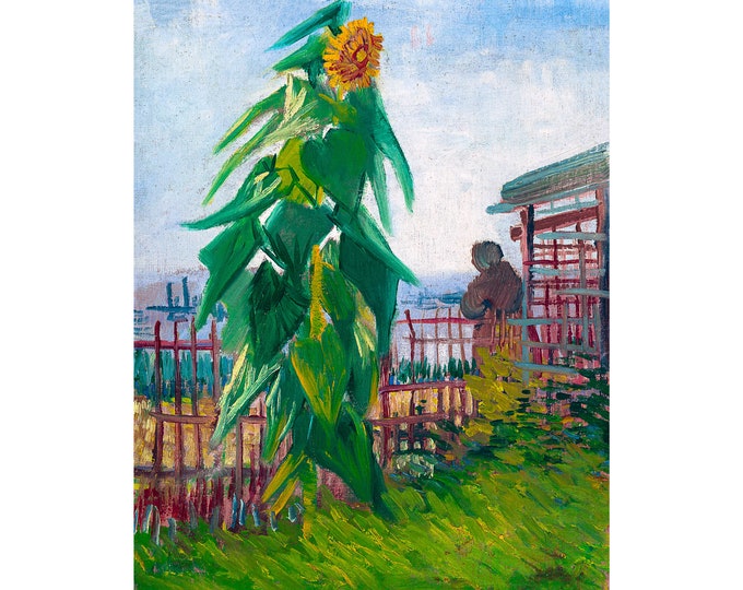 Van Gogh, Allotment with Sunflower, 1887 | Art Print | Canvas Print | Fine Art Poster | Art Reproduction | Archival Giclee | Gift Wrapped