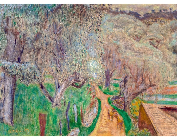 Pierre Bonnard, Olive Trees at Cagnes, Paysage clair ou Oliviers à Cagnes, 1922 | Art Print | Canvas Print | Fine Art Poster | Reproduction