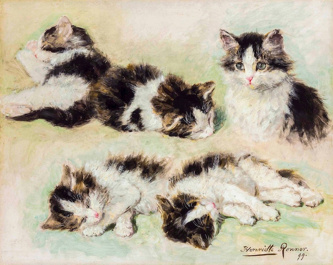 Henriette Ronner-Knip, Studies of Kittens, 1899 | Art Print | Canvas Print | Fine Art Poster | Art Reproduction | Archival Giclee | Gift
