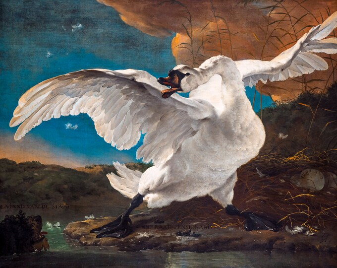 Jan Asselijn, The Threatened Swan, 1650 | Art Print | Canvas Print | Fine Art Poster | Art Reproduction | Archival Giclee | Gift Wrapped