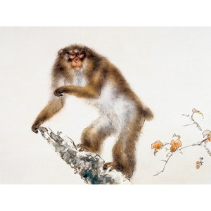 Kansetsu Hashimoto, Old Monkey with Cherry in Autumn, 1938 | Art Print | Canvas Print | Fine Art Poster | Art Reproduction | Archival Giclee