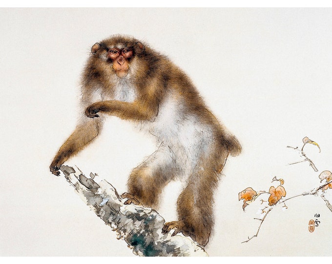 Kansetsu Hashimoto, Old Monkey with Cherry in Autumn, 1938 | Art Print | Canvas Print | Fine Art Poster | Art Reproduction | Archival Giclee