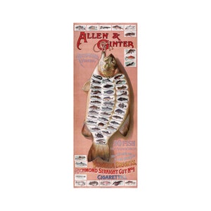 50 Fish from American Waters, Educational Poster | Art Print | Canvas Print | Fine Art Poster | Art Reproduction | Archival Giclee | Gift