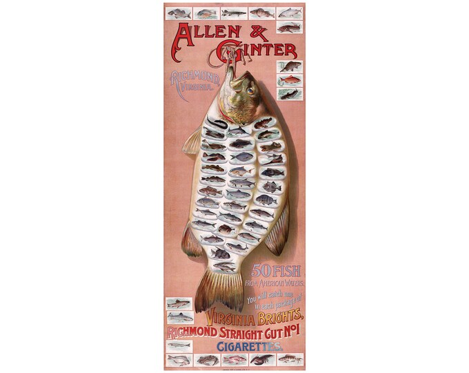 50 Fish from American Waters, Educational Poster | Art Print | Canvas Print | Fine Art Poster | Art Reproduction | Archival Giclee | Gift