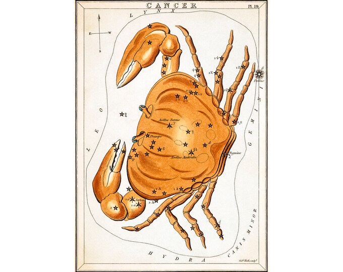 Cancer Astrology Poster, Sidney Hall, Urania's Mirror, Cancer | Art Print | Canvas Print | Fine Art Poster | Art Reproduction | Archival