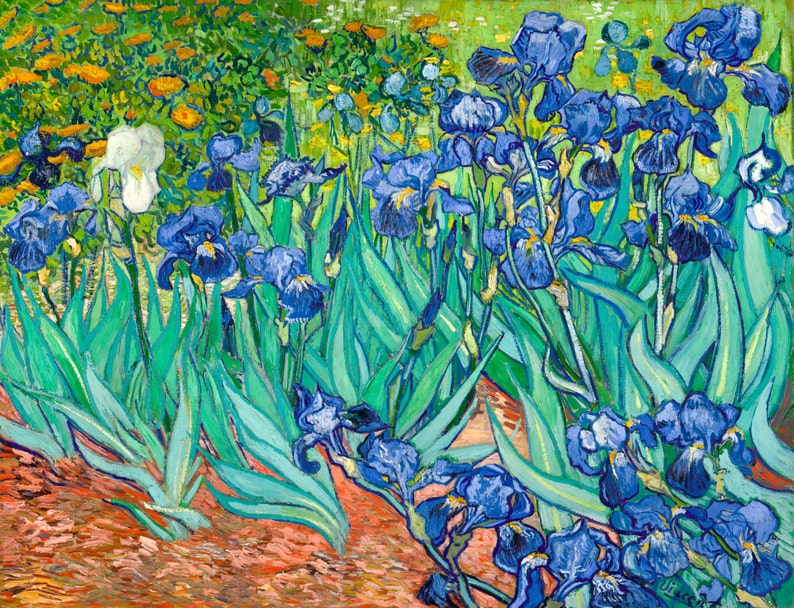 Vincent van Gogh 1889 Irises Saint Remy Iris HD Canvas