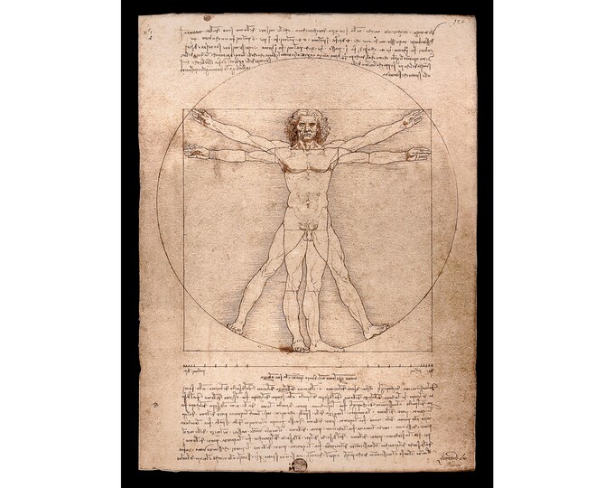 Leonardo da Vinci, Vitruvian Man, 1492 | Art Print | Canvas Print | Fine Art Poster | Art Reproduction | Archival Giclee | Gift Wrapped