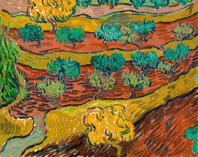 Van Gogh, Olive Trees on a Hillside, 1889 | Art Print | Canvas Print | Fine Art Poster | Art Reproduction | Archival Giclee | Gift Wrapped