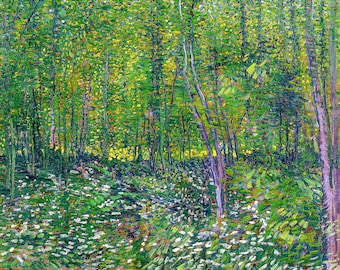 Van Gogh, Trees and undergrowth, 1887 | Art Print | Canvas Print | Fine Art Poster | Art Reproduction | Archival Giclee | Gift Wrapped