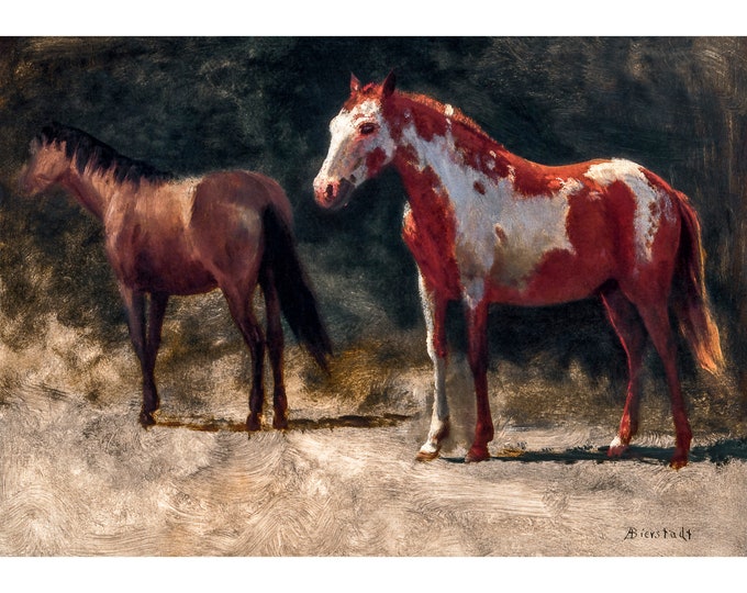 Albert Bierstadt, Two Horses | Art Print | Canvas Print | Fine Art Poster | Art Reproduction | Archival Giclee | Gift Wrapped