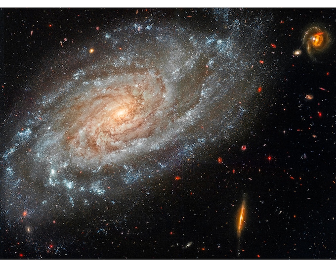 Silverado Galaxy, Leo Constellation, NASA Space Art | Art Print | Canvas Print | Fine Art Poster | Art Reproduction | Archival Giclee | Gift