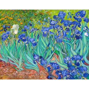 Van Gogh, Irises, Les Iris, 1889 | Art Print | Canvas Print | Fine Art Poster | Art Reproduction | Archival Giclee | Gift Wrapped