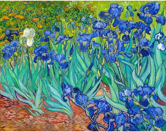 Van Gogh, Irises, Les Iris, 1889 | Art Print | Canvas Print | Fine Art Poster | Art Reproduction | Archival Giclee | Gift Wrapped