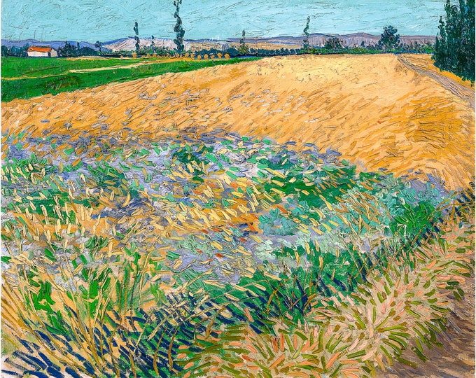 Van Gogh, Wheatfield, 1888 | Art Print | Canvas Print | Fine Art Poster | Art Reproduction | Archival Giclee | Gift Wrapped