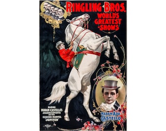 Ringling Bros Circus Horse 1899 | Art Print | Canvas Print | Fine Art Poster | Art Reproduction | Archival Giclee | Gift Wrapped