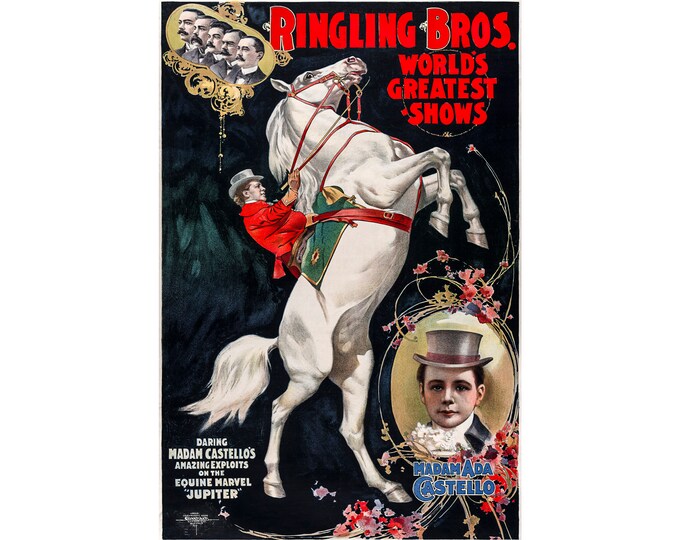 Ringling Bros Circus Horse 1899 | Art Print | Canvas Print | Fine Art Poster | Art Reproduction | Archival Giclee | Gift Wrapped