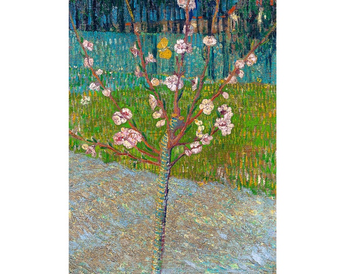 Van Gogh, Almond Tree in Blossom, 1888 | Art Print | Canvas Print | Fine Art Poster | Art Reproduction | Archival Giclee | Gift Wrapped